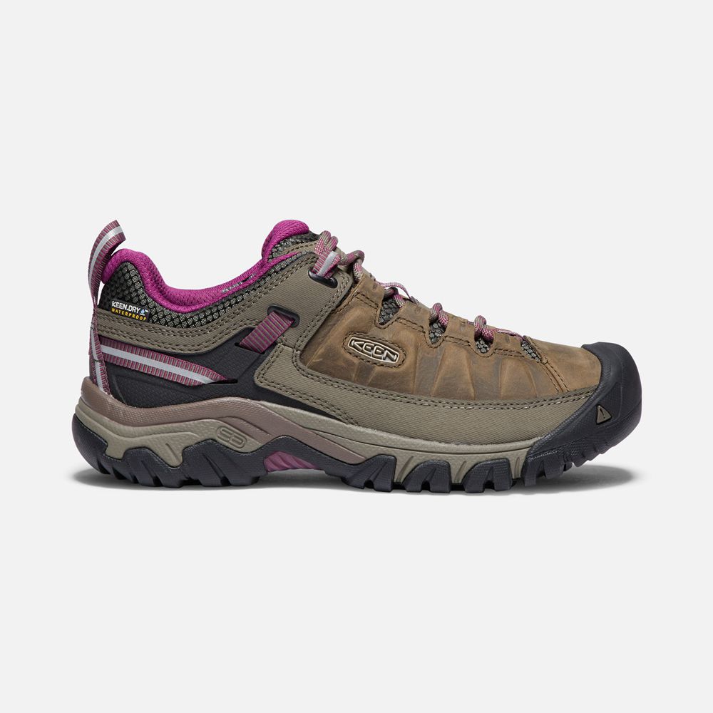 Keen Wandelschoenen Dames Bruin - Targhee Iii Waterproof - 87126-GFUM